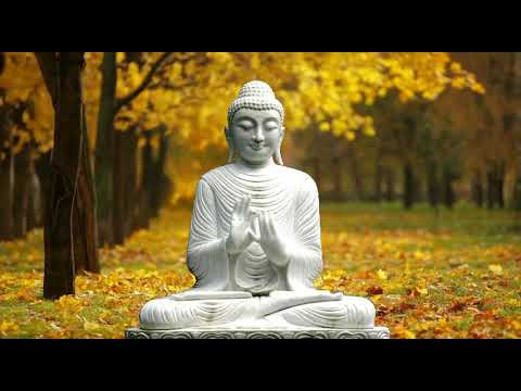 โอวาทปาฏิโมกข์ ธรรมเทศนาเนื่องในวันมาฆะบูชา โดย พุทธทาส ...