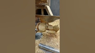 Wooden Astronaut Statue Carving sample testing