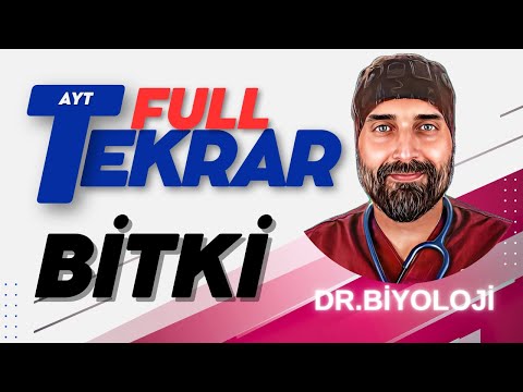 #Bitki AYT Biyoloji Full Tekrar | 2024 | #drbiyoloji