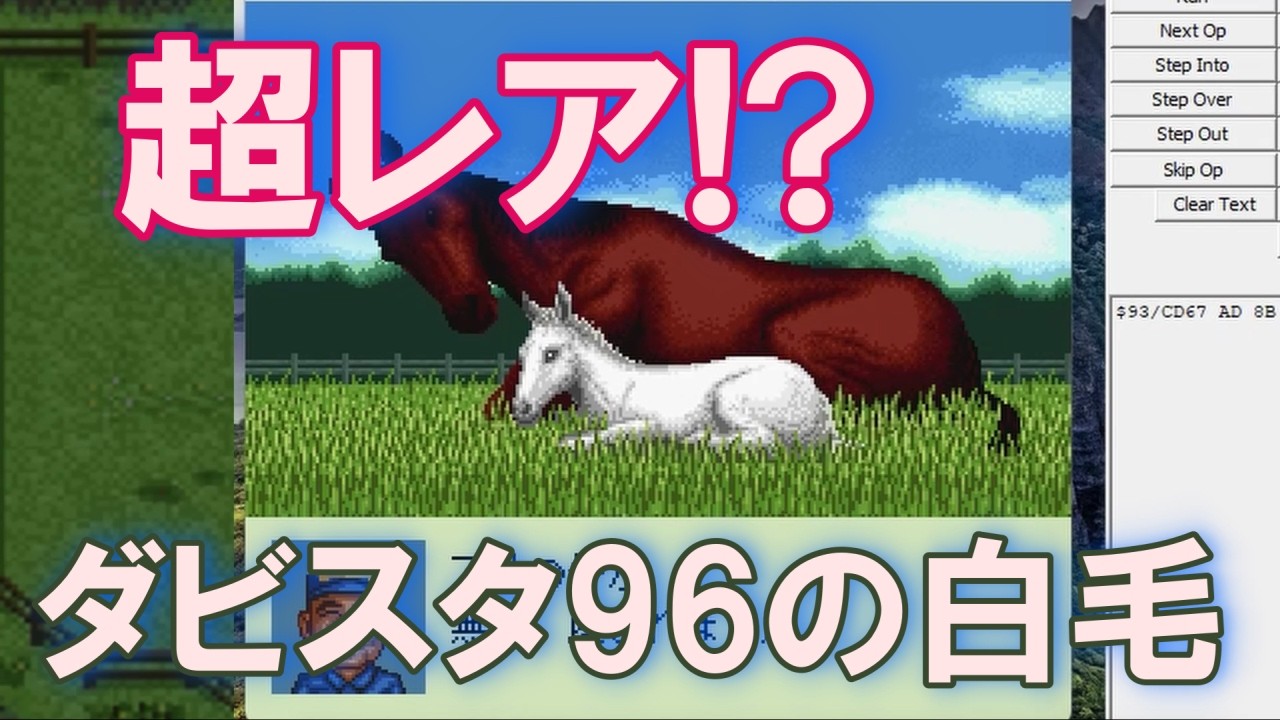 ダビスタ96】白毛が出る確率は？【意外と知られてない】 - YouTube