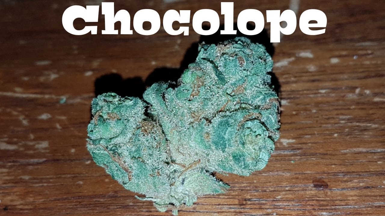 Strain Review - Chocolope