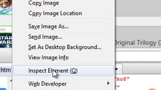 11 Demo Firebug Inspection