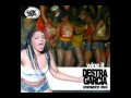 Destra Garcia - Wine It (VoIoNoCo Remix - Ok Dude Records)