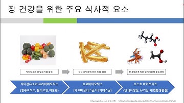 2020년 4월 루게릭병 클리닉 강좌  루게릭병과 장내 미생물의 관계