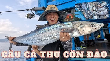 CÂU CÁ CÔN ĐẢO 2024 , Ngày Trúng Lớn. Lên Cá Thu Liên Tục, Cá đầu mùa size Lớn kéo quá đã!!