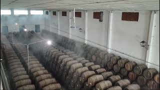 bodegas robles Montilla 8