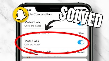 HOW TO MUTE GROUP CALLS ON SNAPCHAT