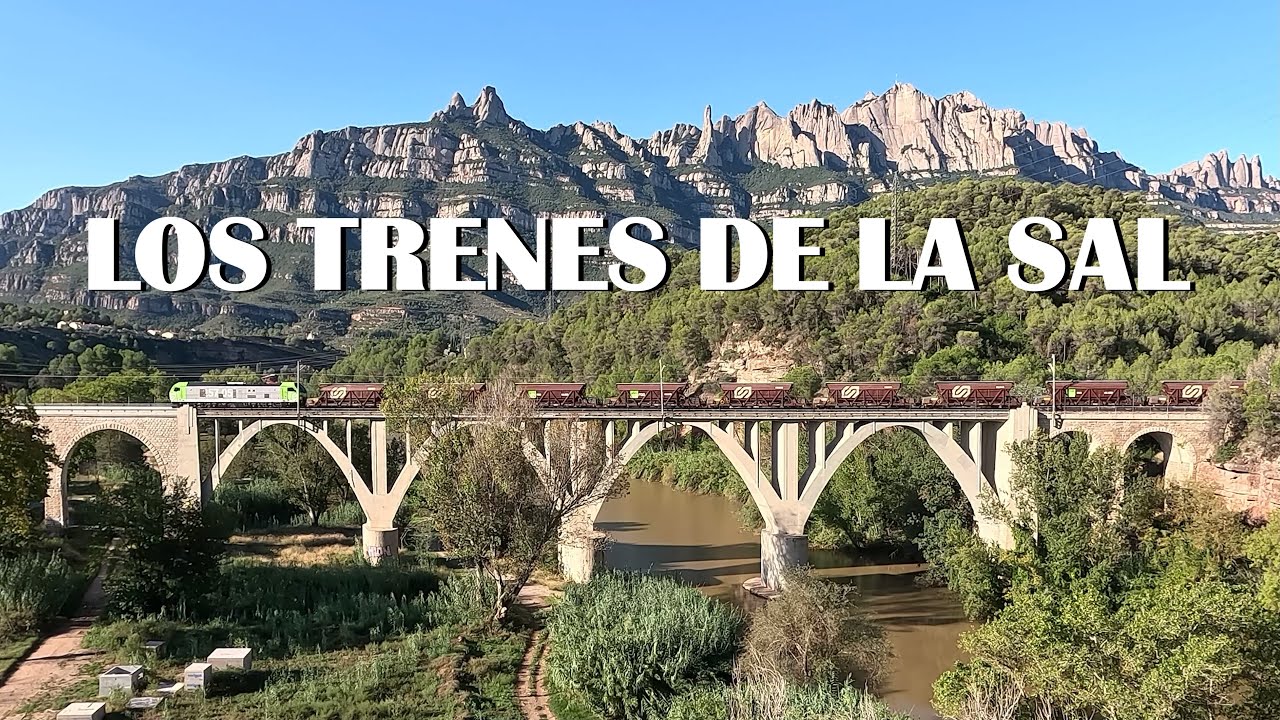 LOS TRENES DE LA SAL