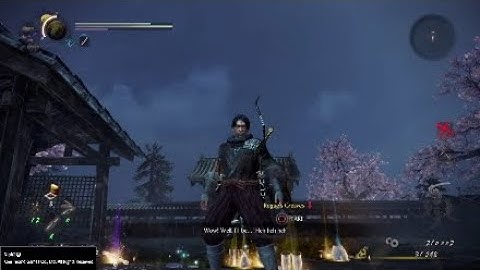 Nioh 2 Onmyo vs Ninjutsu