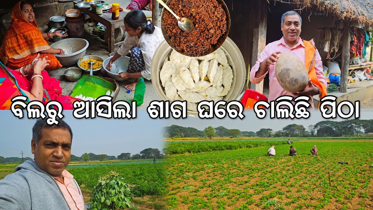 ବିଲରୁ ଆସିଲା ଶାଗ, ଘରେ ବିଭିନ୍ନ ପିଠା 😋 @Gouranganayakodiavlogs 