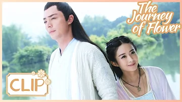 She's hiding from him, trying to stop loving him🥺The Journey of Flower | 花千骨| Clip 20