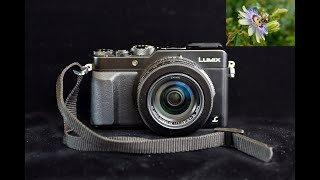 A few days with a Lumix LX100