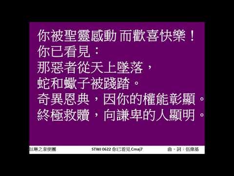你已看見 伍偉基結他音樂
