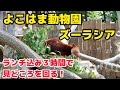 【おでかけ動画】見どころを3時間で回る！　よこはま動物園ズーラシア
