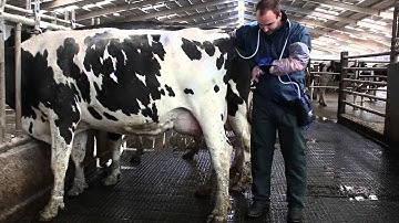Wrist Display Video in use
