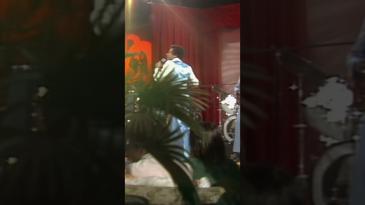 Smokey Robinson Delivers Effortless Soul ✨ Vitamin U LIVE 1977 #smokeyrobinson #livemusic #1977
