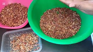 kitchen tips & tricks on how to sort & clean dirty beans like a pro & cook using pressure cooker