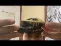 ABSEN NAMA SATU KARET SATU SUBSCRIBE!