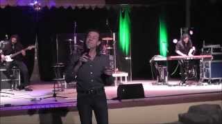 Albert Hammond When You Tell Me That You Love Me  Leipzig