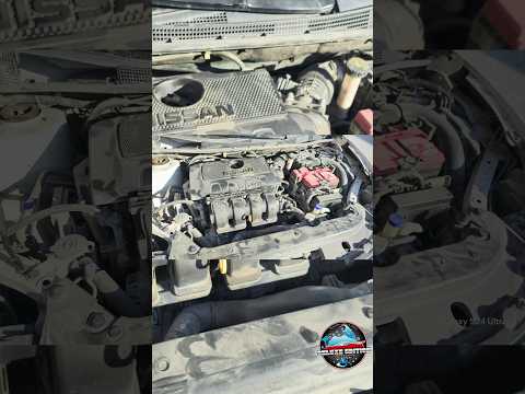 Lavado Motor -