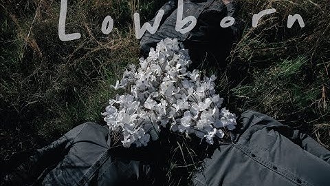 LOWBORN // Devil (Official Music Video)