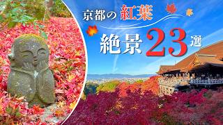 【京都紅葉】絶対見たい絶景23選！人気の紅葉名所をエリア別に紹介｜完全保存版