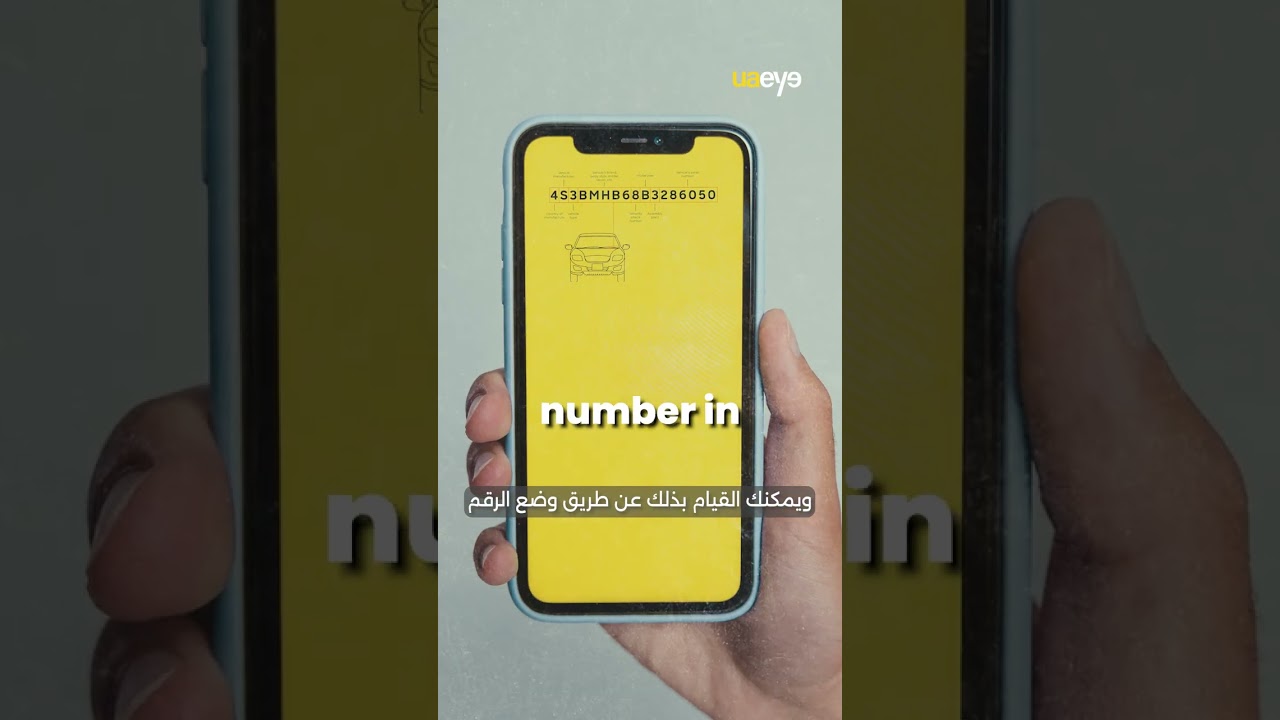 How to check cars accident history?