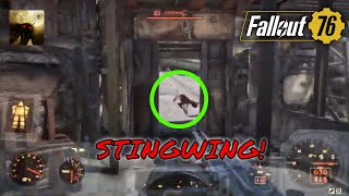 Fallout 76 Secrets Where To Find Stingwings? For The Possum Badge