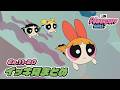 【※期間限定※まとめ】[2016]パワーパフ ガールズ Ep.11-20イッキ見 | PPG ブロッサム/バブルス/バターカップ（カートゥーン ネットワーク）