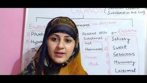 JKSSB CLASS IV 2020 / SCIENCE / HUMAN BODY FACTS LEC 02/ JKSSB ACCOUNTS ASSISTANT BASIC LEVEL