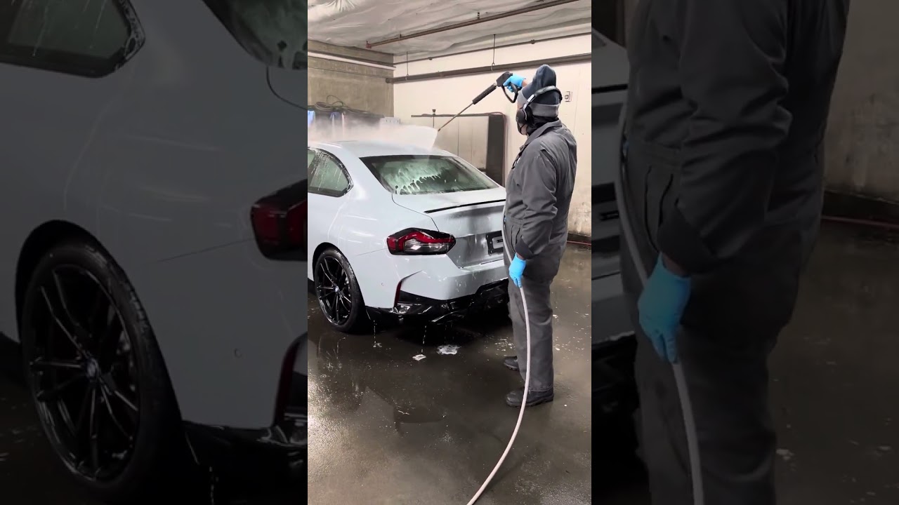 Performing Bug Stains Removal