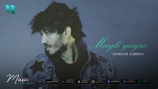 Xamdam Sobirov - Mayli yayra (audio 2020)