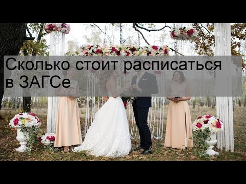 Cколько стоит расписаться в ЗАГСе