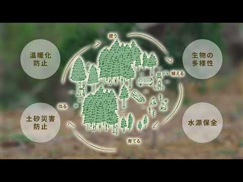 「かがわヒノキ」PR動画 森林のわ篇《香川県》