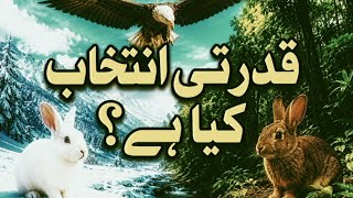 The Truth About Charles Darwin’s Natural Selection! | Natural Selection Kya Hai? | Evolution Part 2
