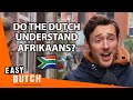 Do the dutch understand afrikaans  easy dutch 62