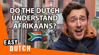 Do the Dutch Understand Afrikaans? | Easy Dutch 62