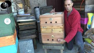 BeeSpace: UD Hive Queen rearing