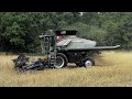 Harvesting cereal rye with A Gleaner Combine
