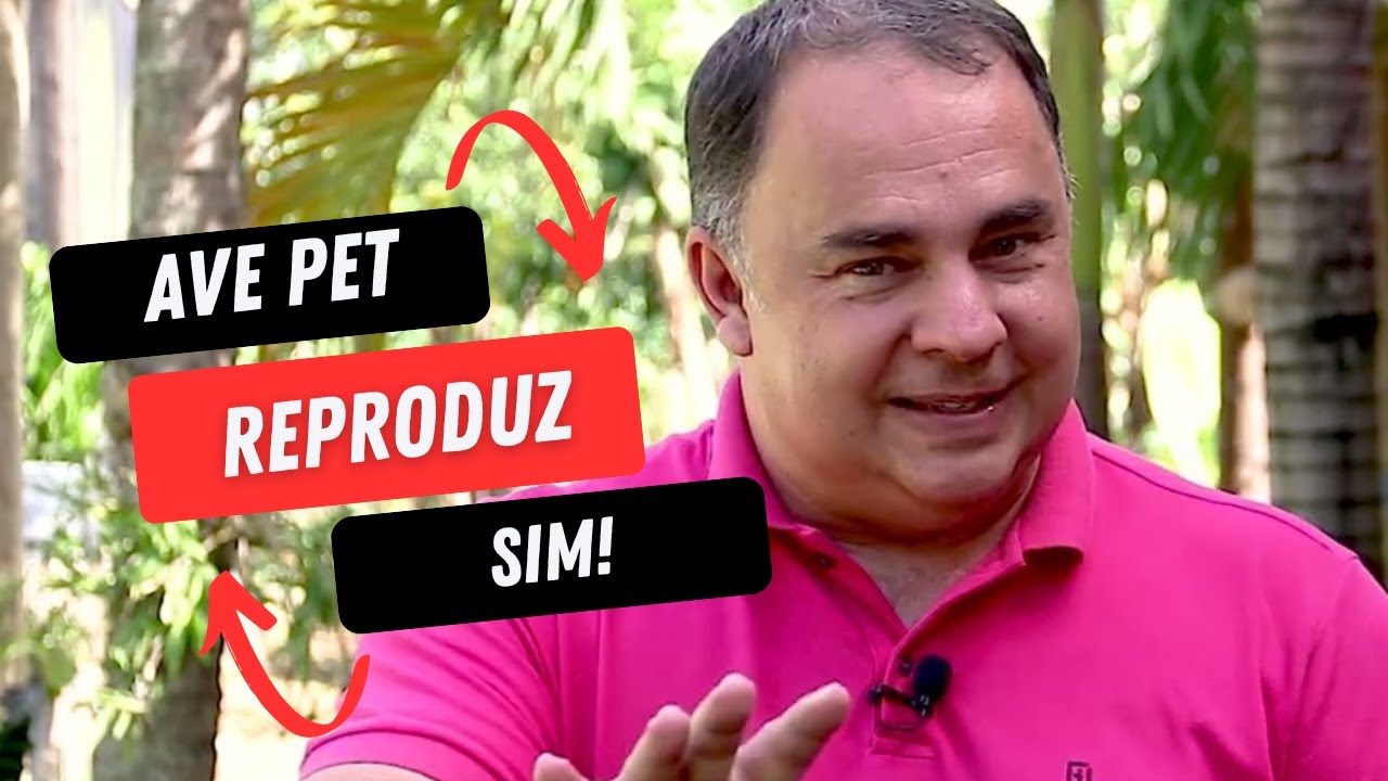 RING NECK MANSO VS RING NECK ARISCO