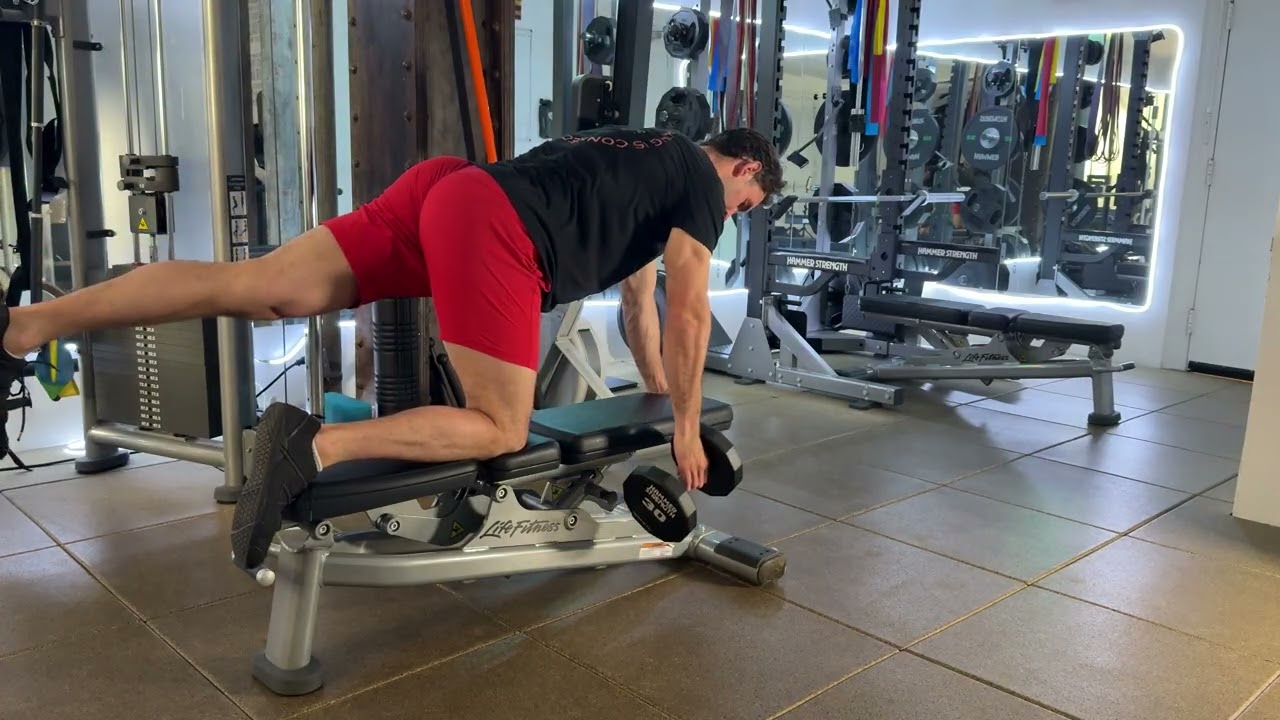 Bird Dog Row: Core Stability Meets Back Strength
