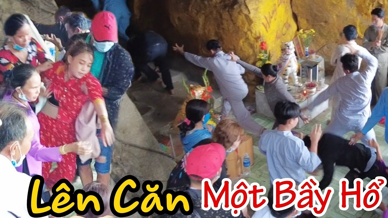 Hãi hùng cảnh tượng lên căn cả bầy hổ ở Núi Cấm An... - youtube
