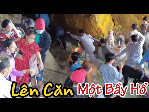 Video Hãi hùng cảnh tượng lên căn cả bầy hổ ở Núi Cấm An... - youtube
