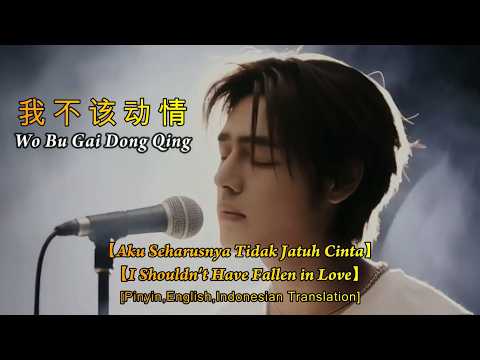 Wo Bu Gai Dong Qing【我不该动情】Da Tou Zhen 大头针 [Pinyin,English,Indonesian Translation]