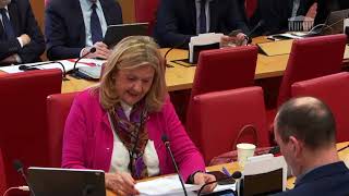 Com Lois - PPL intervention cabinets de conseils dans les politiques publiques