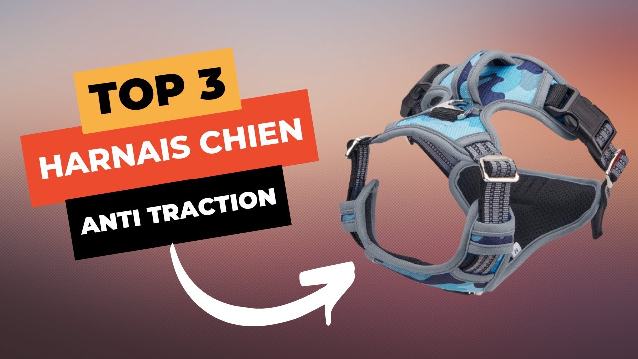 🔥 TOP 3 : Meilleur Harnais Chien Anti Traction 2023