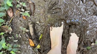 Barefoot Tracks of Whangarei: “Scenic Reserve” - top of Fairway Drive, Kamo