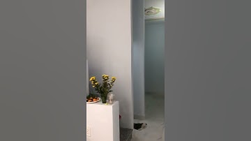 CHÍNH CHỦ CẦN BÁN GẤP CĂN NHÀ 1 TRỆT,1 LẦU. TẠI CẦN GIUỘC, TỈNH LONG AN.