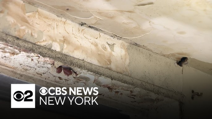 Cbs New York Investigates Rising Nycha Repair Times