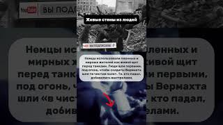 Живые стены из людей
